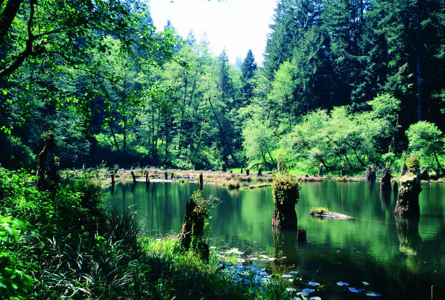 WassonLake.png