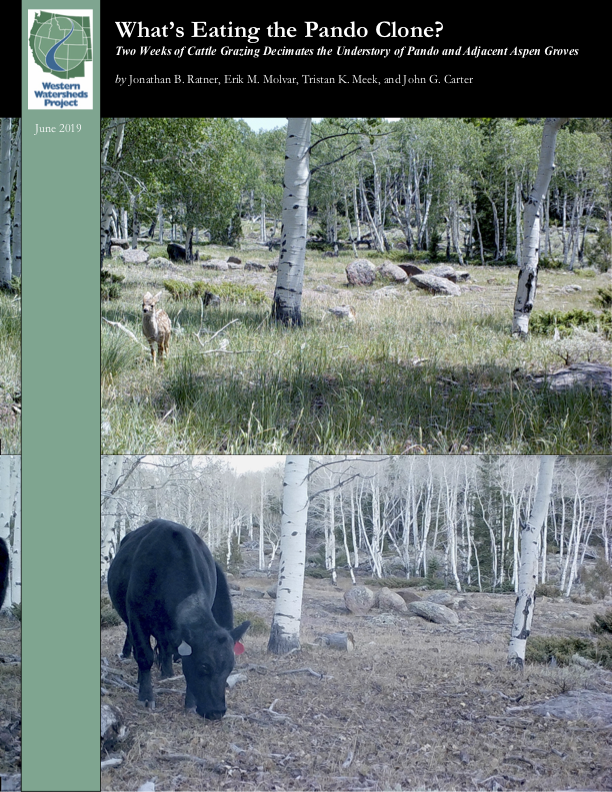 CoverReport.png