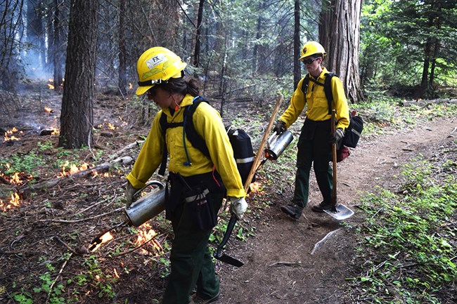 Figure 2. The fire-industrial complex needs to be redirected to only set fires on wildlands and only put out fires on buildings. Source: National Park Service.