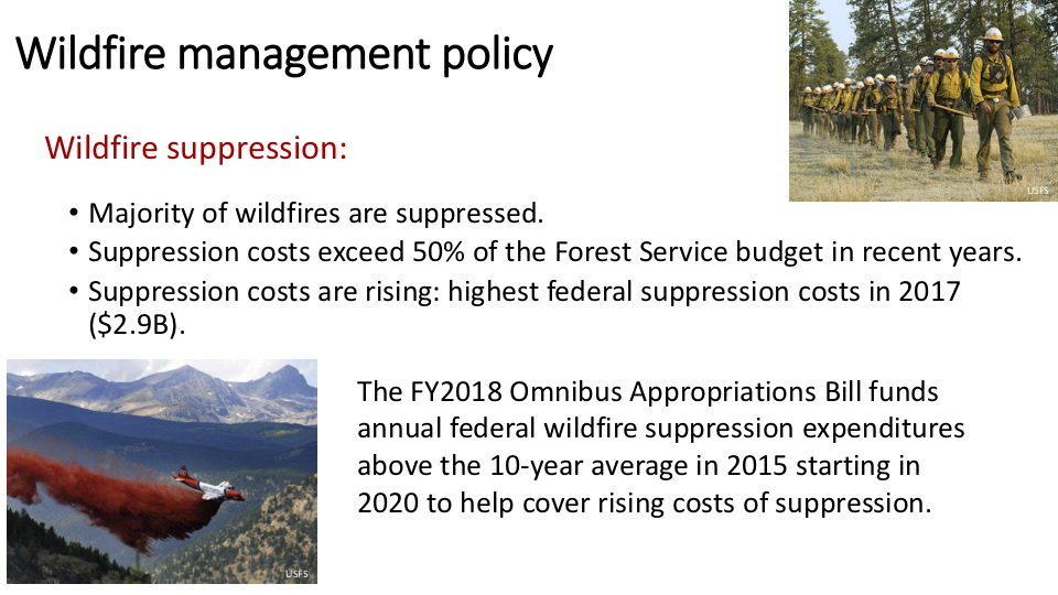 Figure 13 . While Congress recently revised how taxpayers will pay for the bloated Forest Service firefighting budget, it has continued to give the Forest Service a blank check. Those chemical fire-suppressant bomber runs are more telegenic (often timed to be shown live on the evening news) than effective—and are harmful to fish, wildlife, and humans .