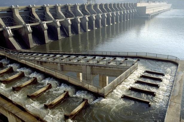 Figure 3. Fish ladders only work, and not all that well, to pass returning adult salmon upstream past a dam . Source: Save Our Wild Salmon .