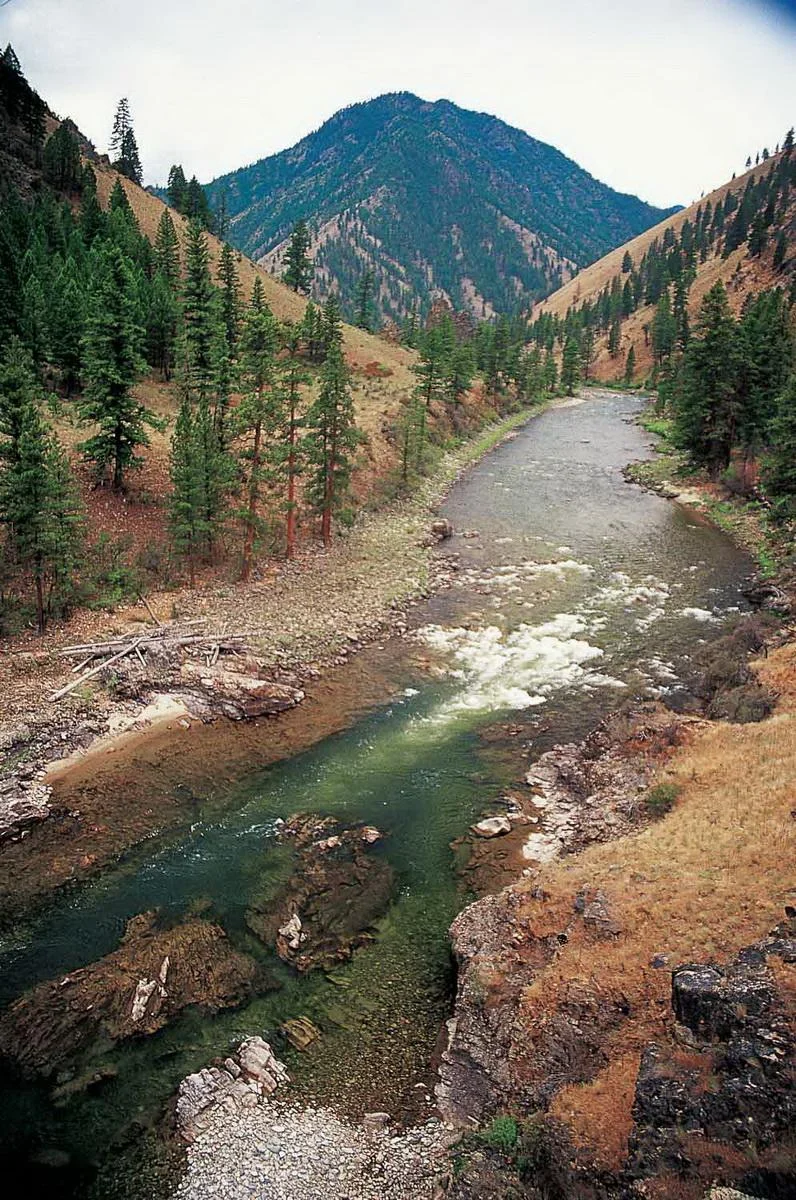 Figure 6. A salmon stream in central Idaho. Source: Save Our Wild Salmon .