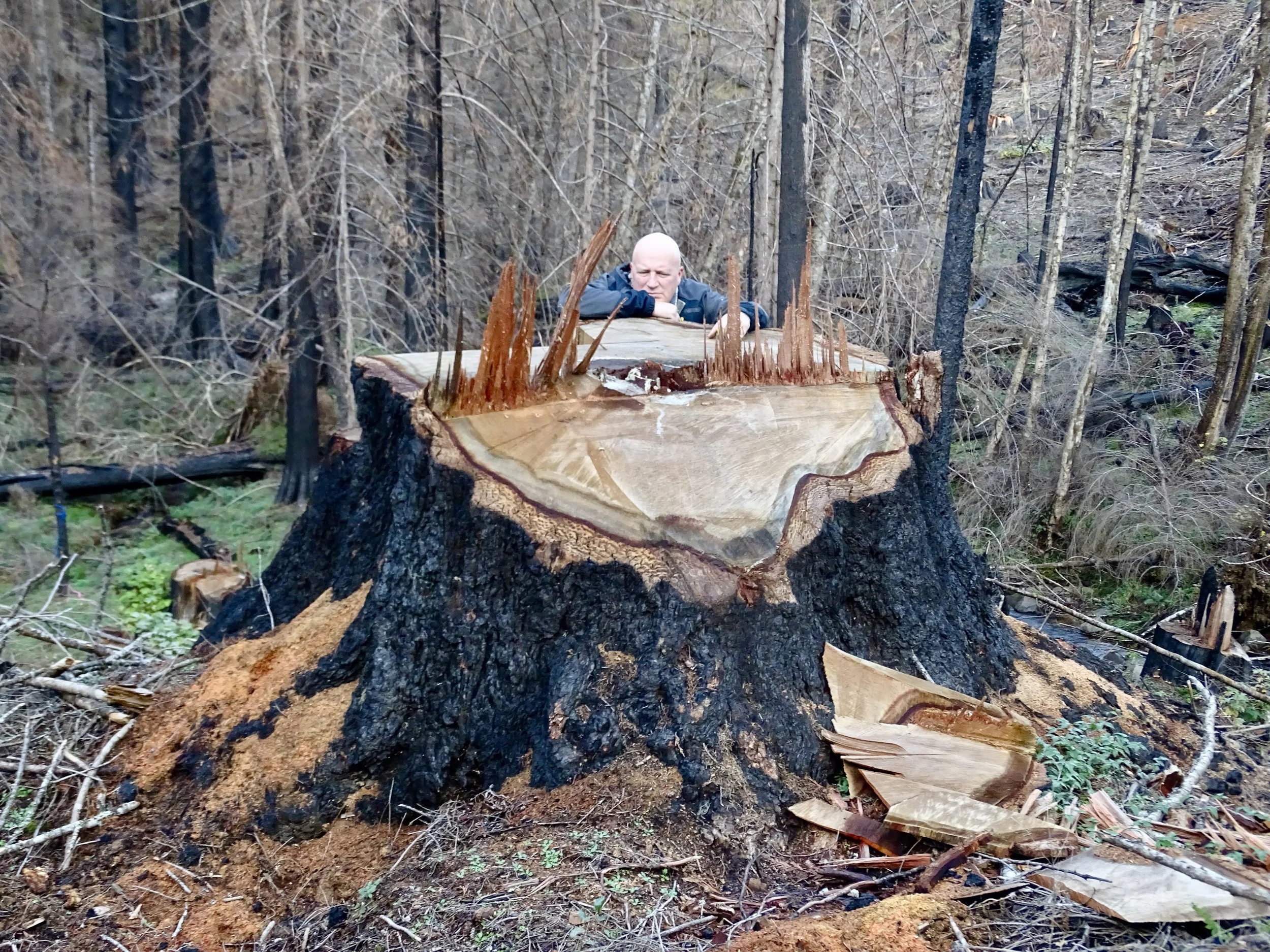 O&amp;C Lands Act, Part 4: Repeal the Act and Transfer the Lands