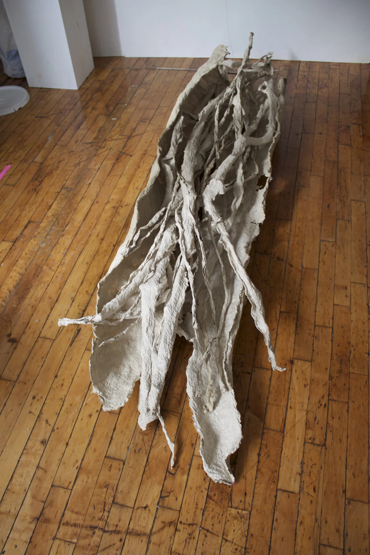 the sound of bones needs editingIMG_3700_2.jpg