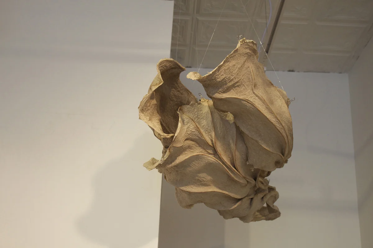 bloom_meg_wheredreamscross_handmade paper, leaf veins_size varies-here Approx 4'x3'x18%22_2014.jpg