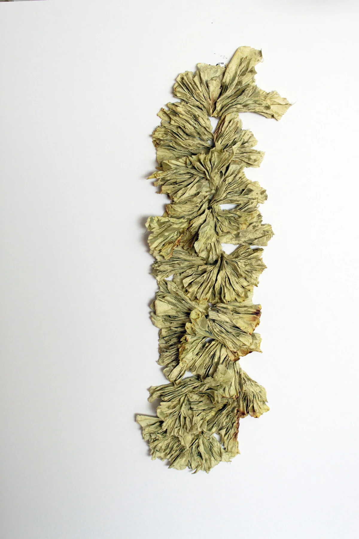bloom_meg_riffandraff_handmadepaper_app28%22x6%22c3%22.jpg