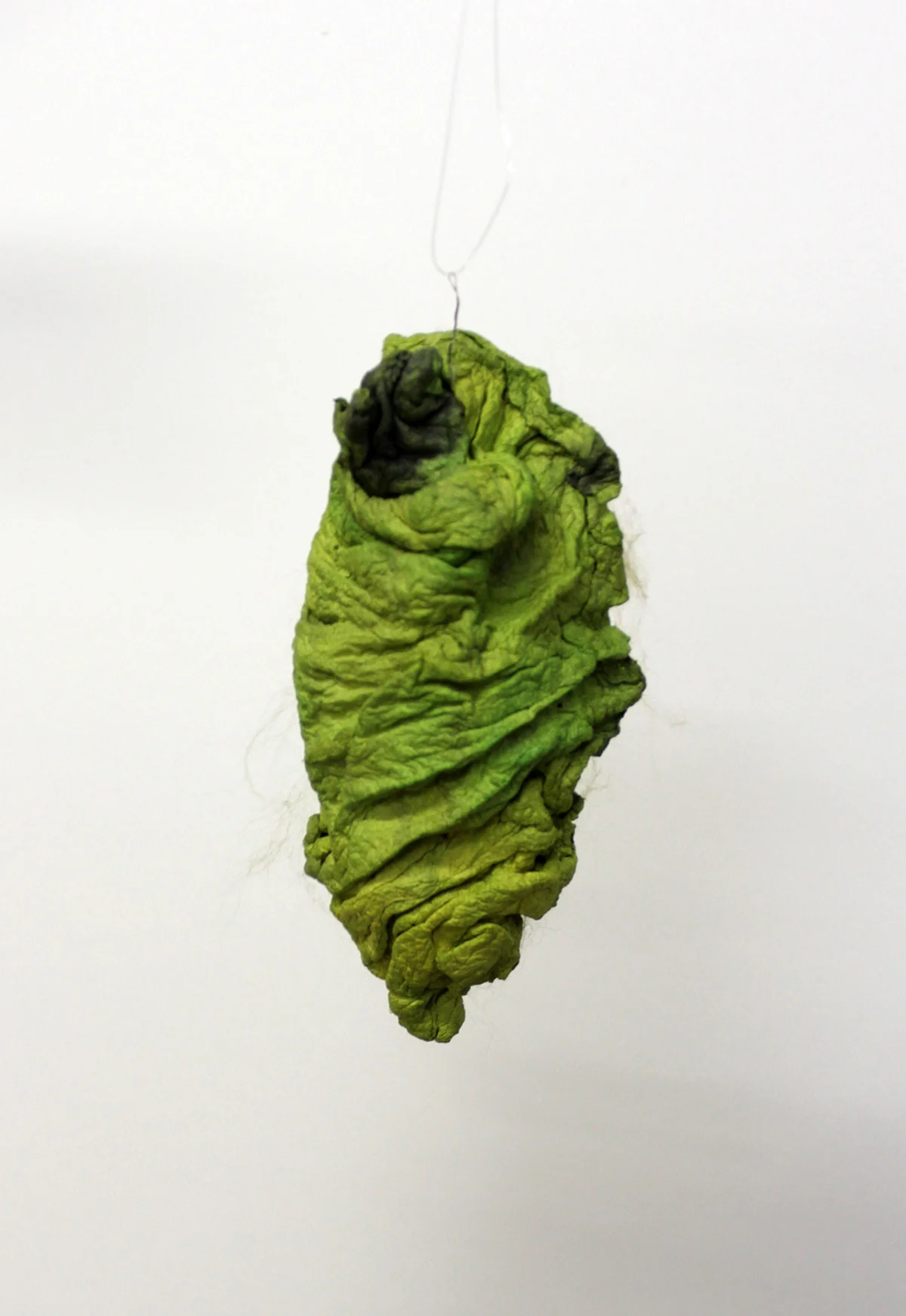bloom_meg_findinghome_view1__joomchi plus_handmadepaper,packingfiller,yarn_app.7%22x4%22x4%22_2015.jpg