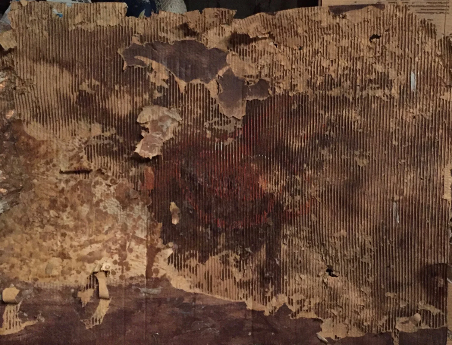 "Within These Walls"
