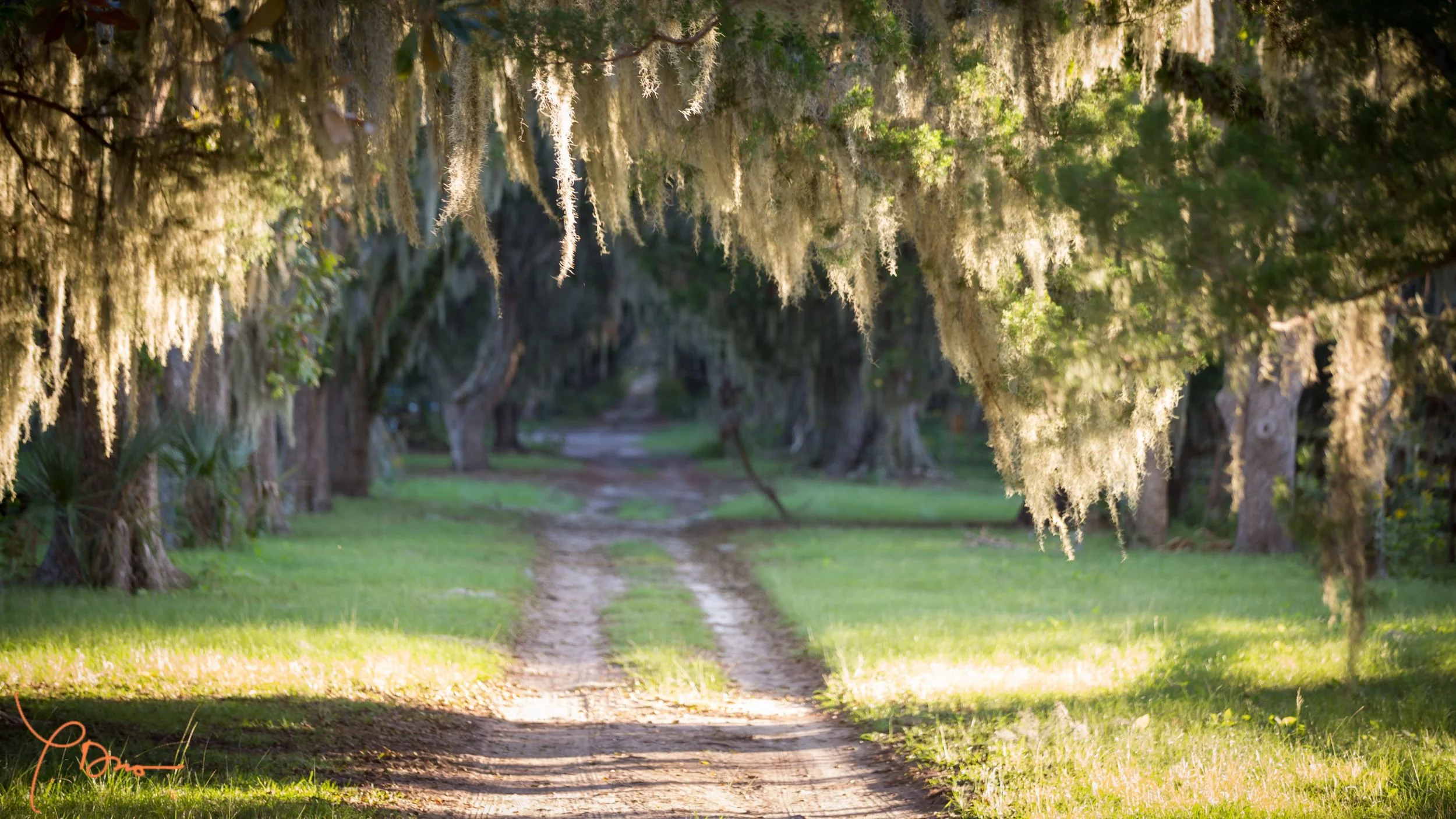 Ossabaw Island Service Weekend — Conservancy