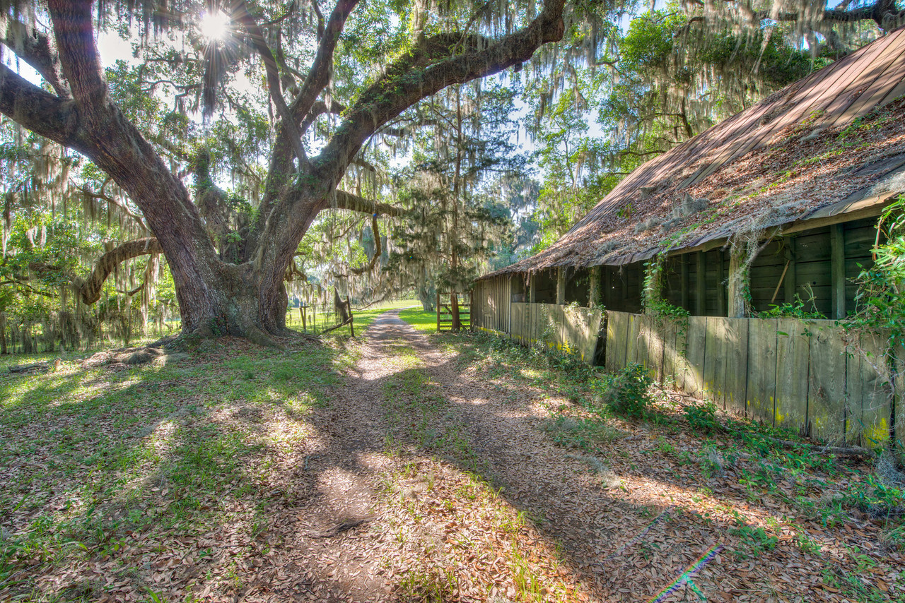 AlTama Plantation, courtesy of Georgia DNR