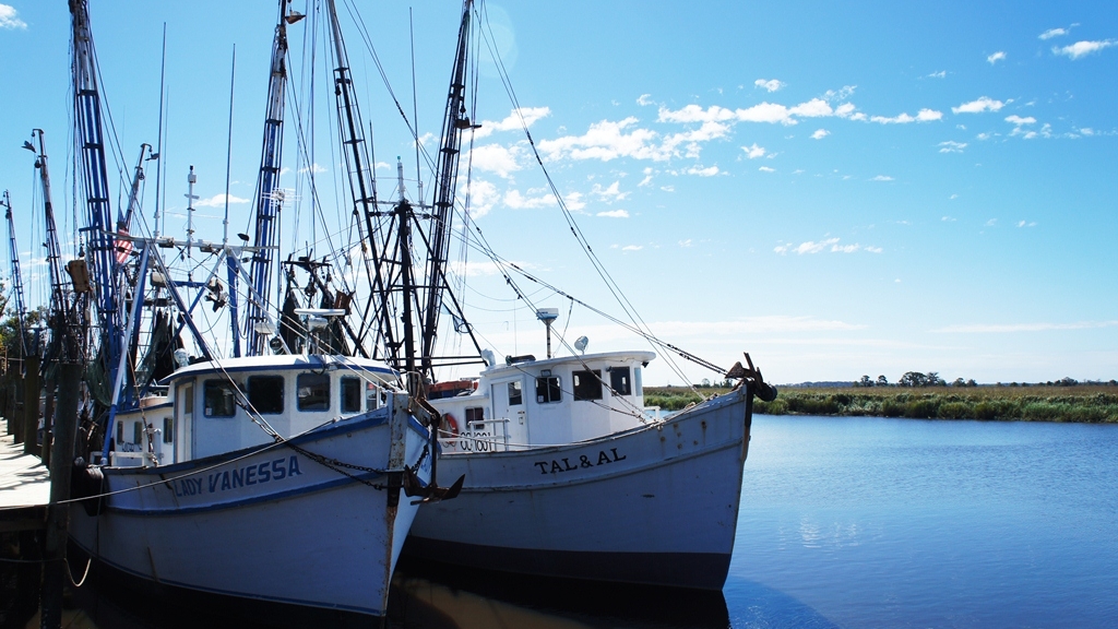 Shrimping Boats Docked in Darien, A Georgia Working Waterfront