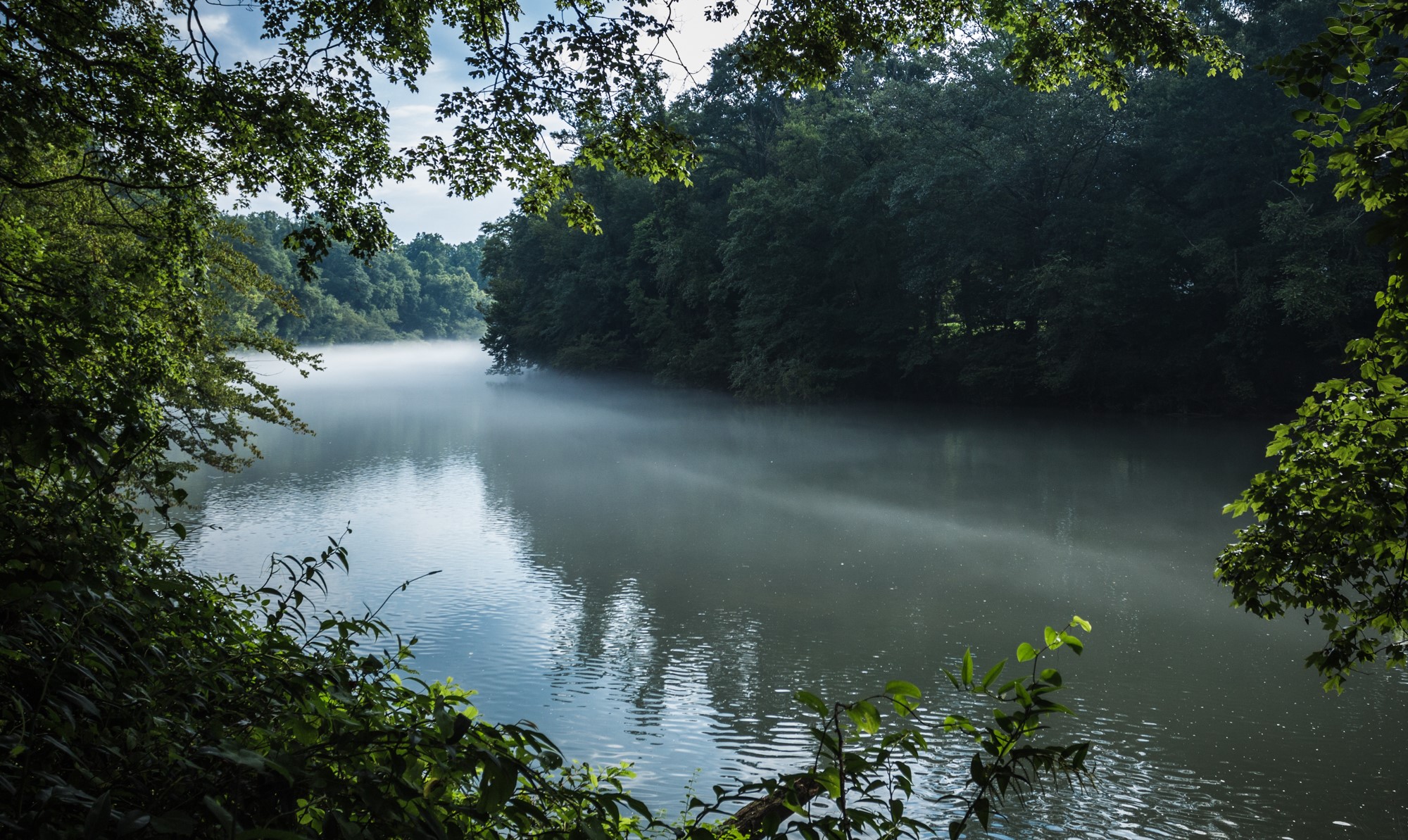 Chattahoochee River at Johns Creek by William Brawley