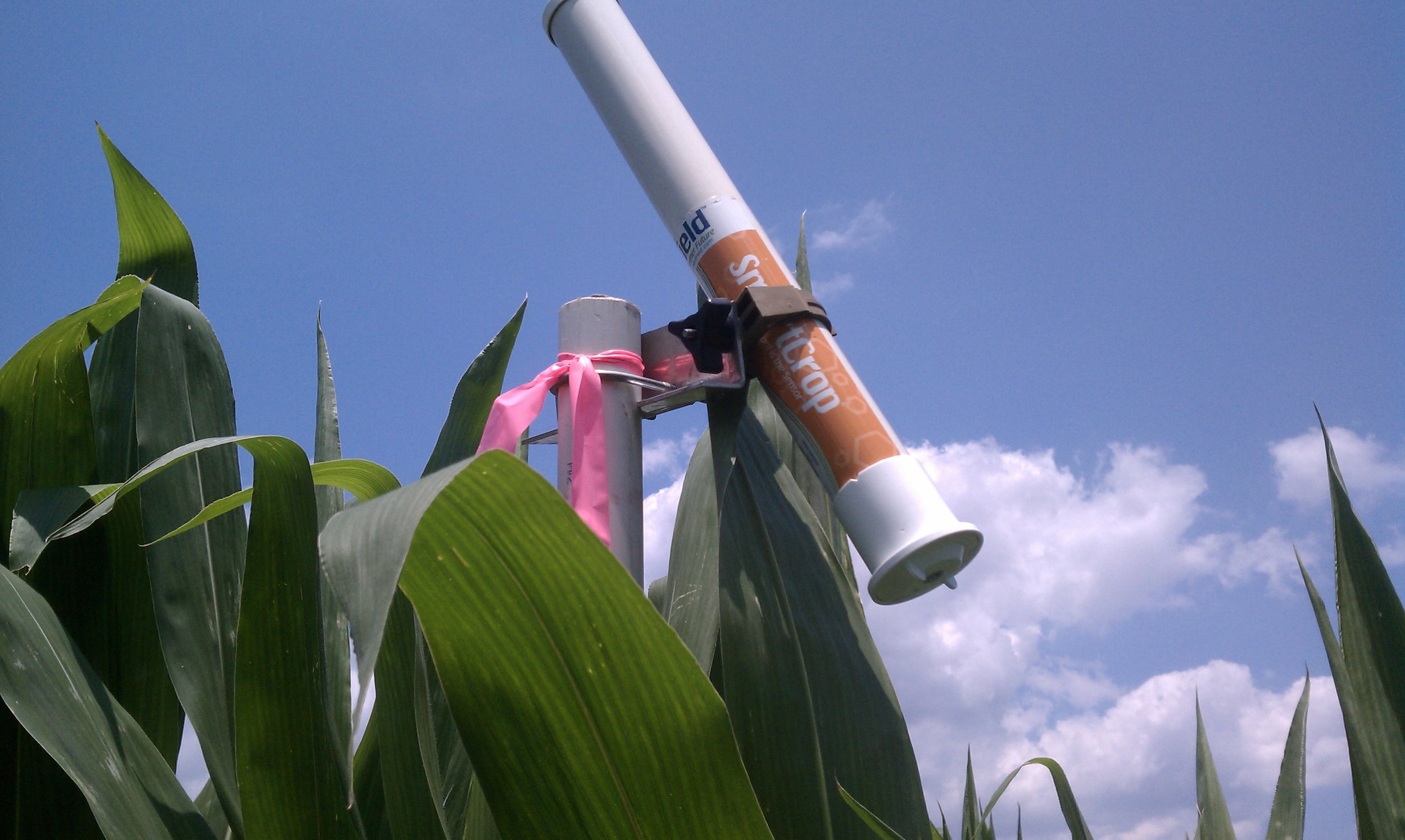 smartcrop-sensor_10837721574_o.jpg