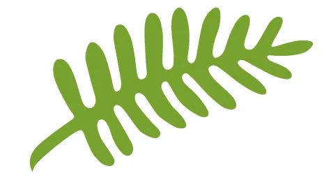 fern sq.jpg