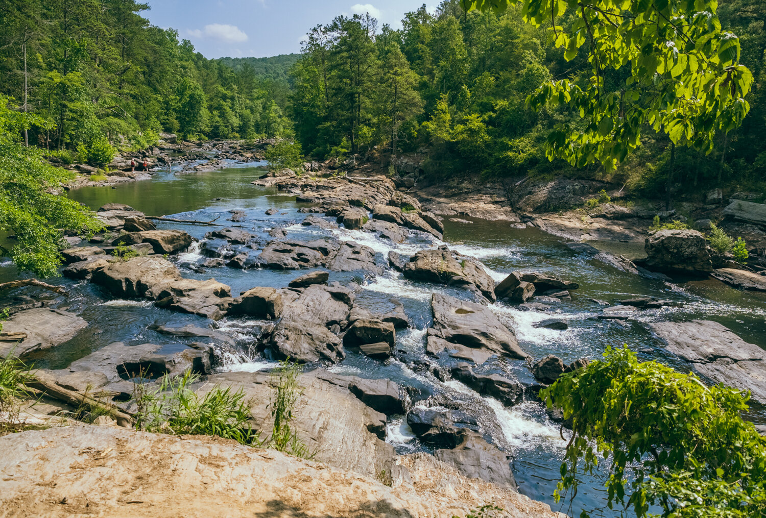 Sweetwater Creek - Will Brawley.jpg