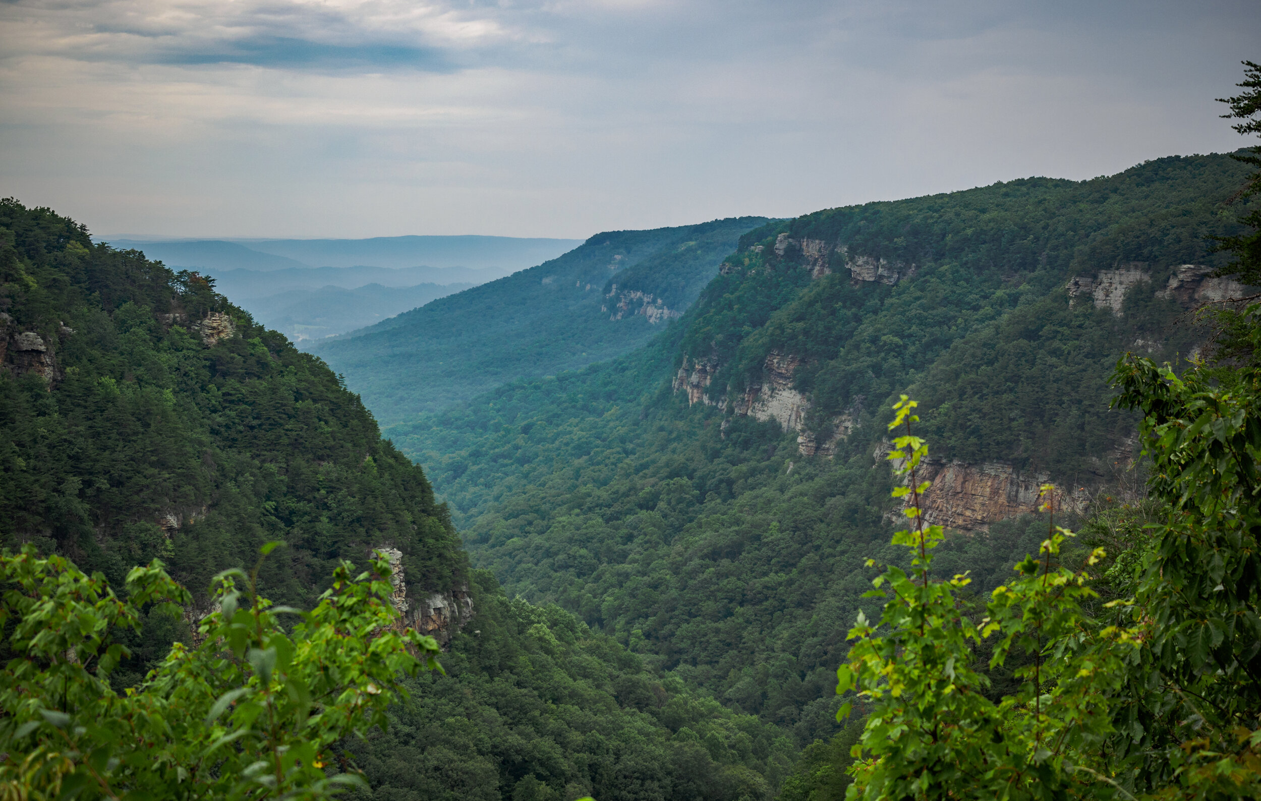 Cloudland Canyon 1 - Will Brawley.jpg