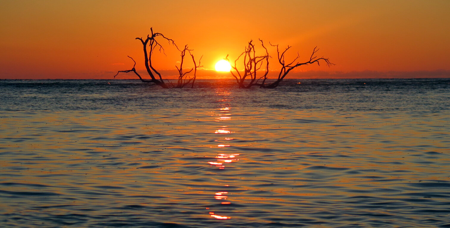 Sapelo Island 3 - Brian Foster.jpg