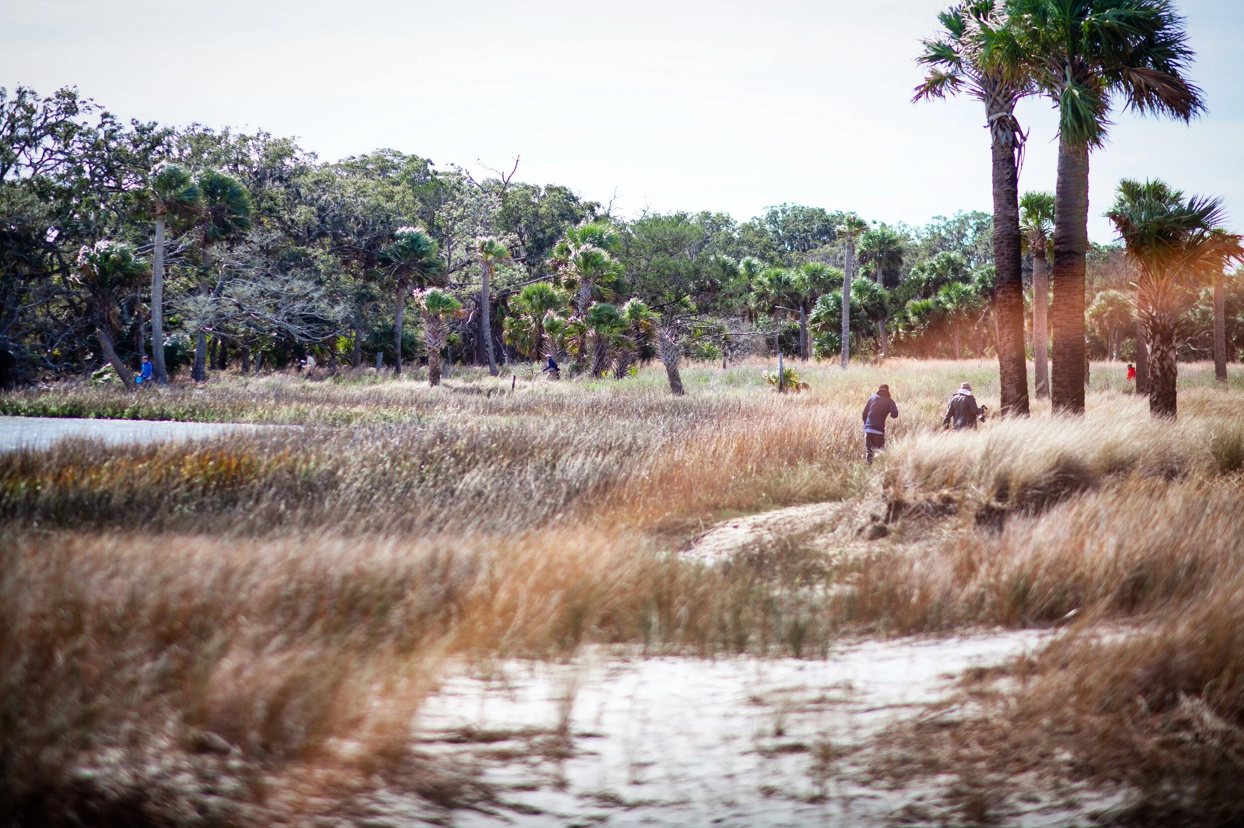 Ossabaw Island Service Weekend — Conservancy