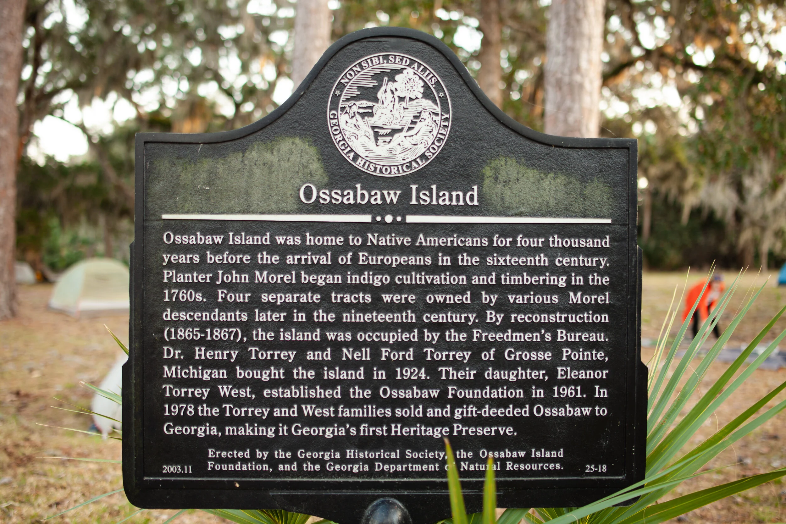 Ossabaw Island Service Weekend — Conservancy