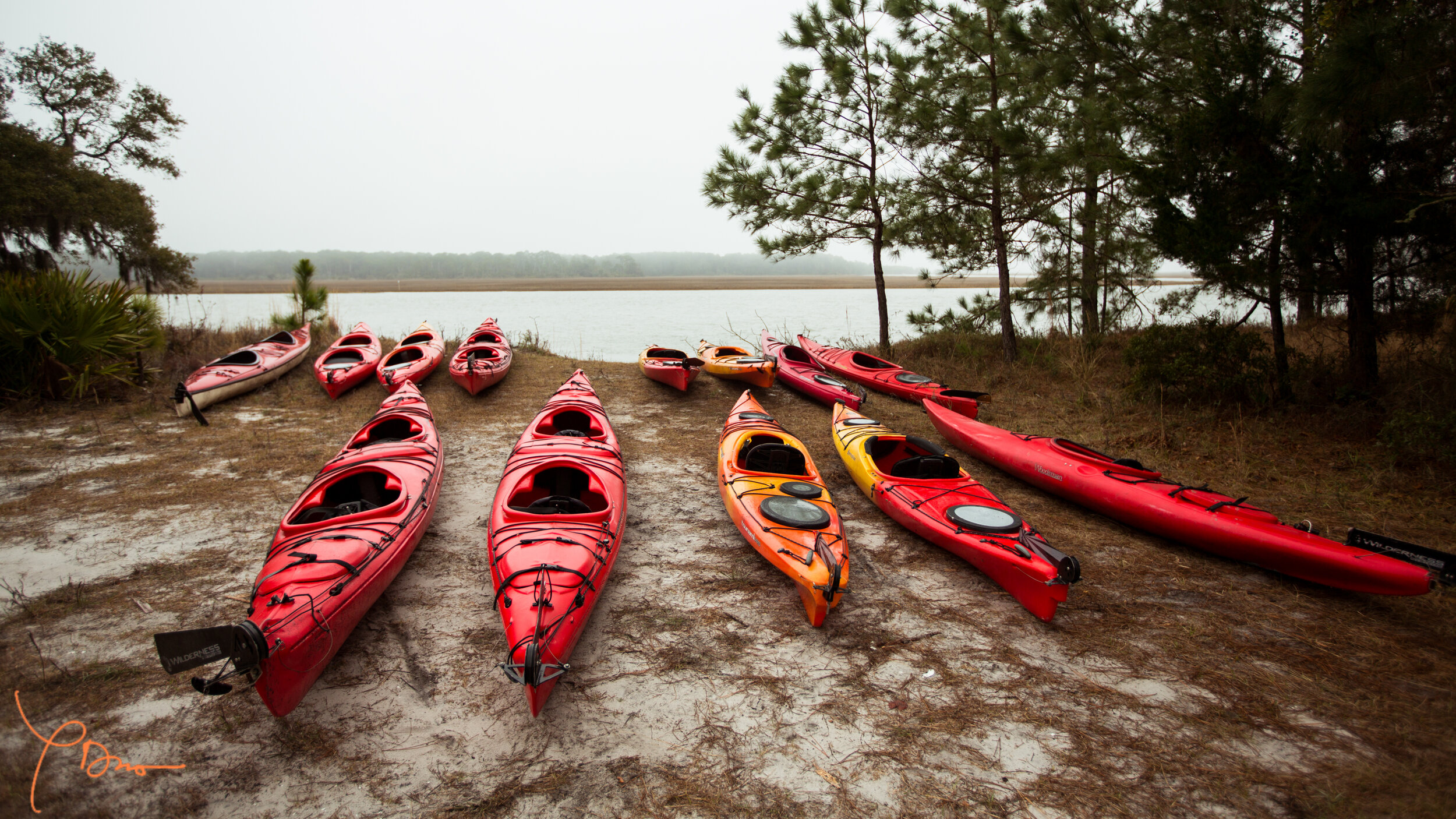 Blackbeard Creek 1 - Phuc Dao.jpg