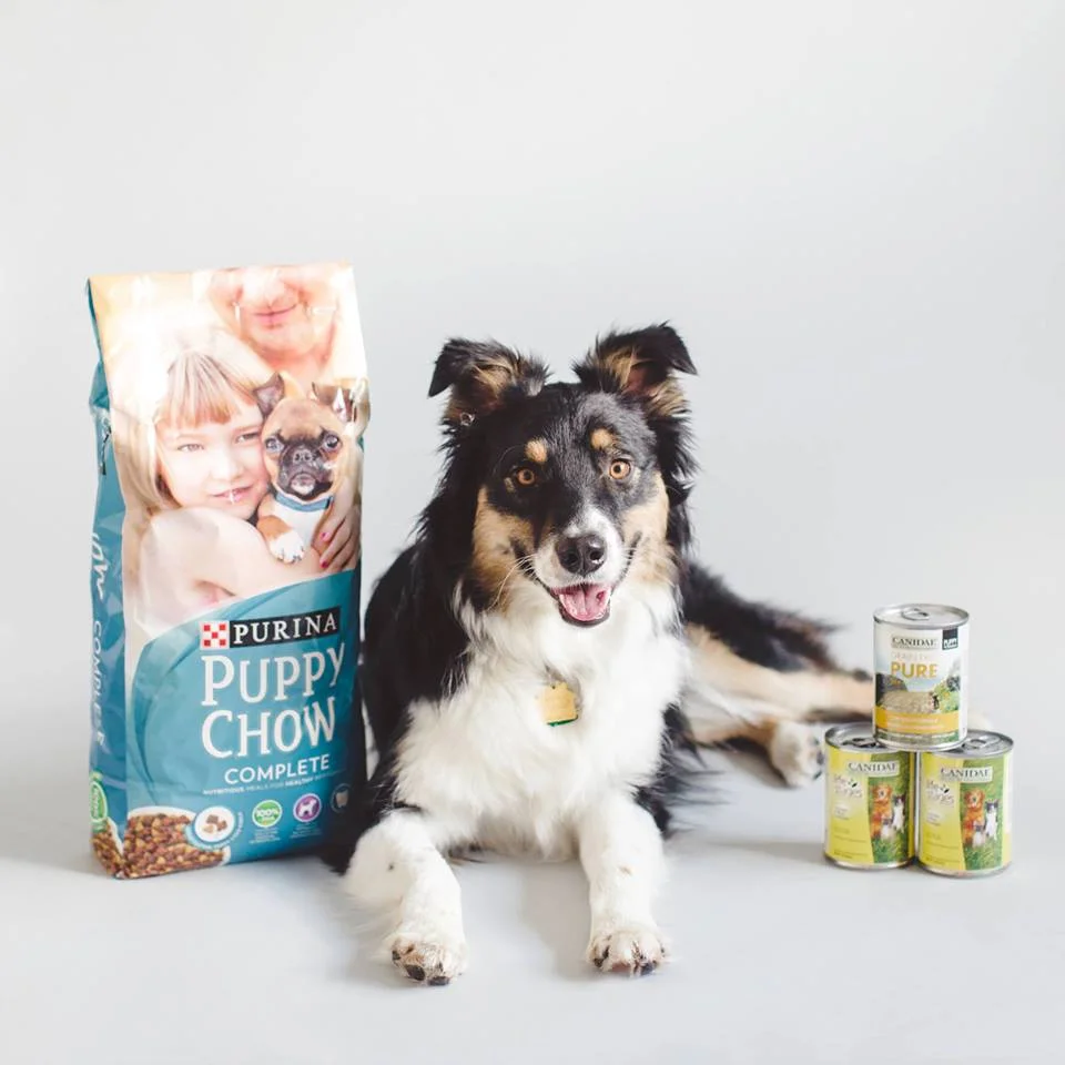 Dog Food Drive