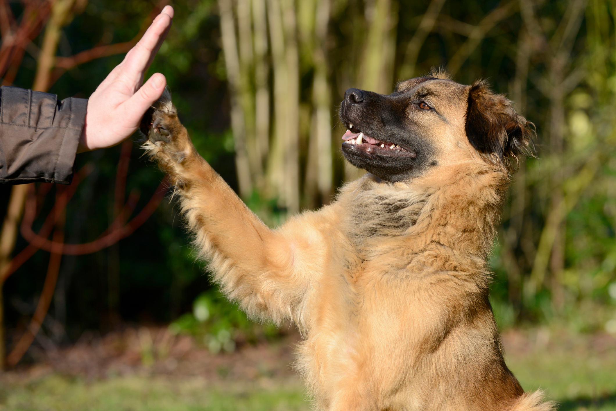 Photo by Carosch/iStock / Getty Images
