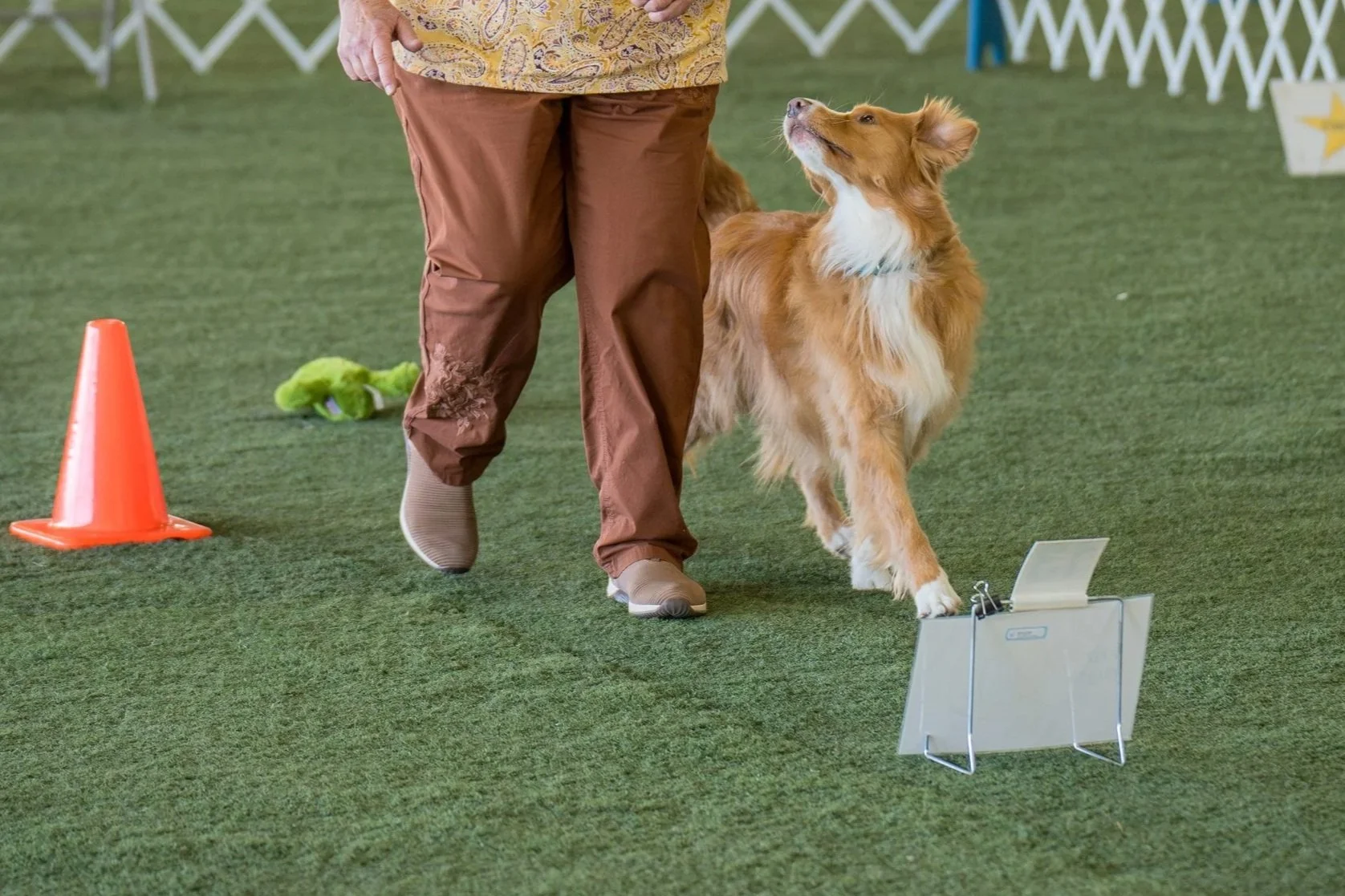 _DSC6204-Enhanced-NR+%282%29.jpg