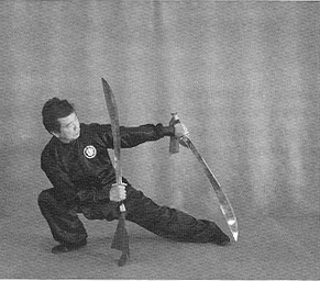 Plum Flower Double Dragon Sword