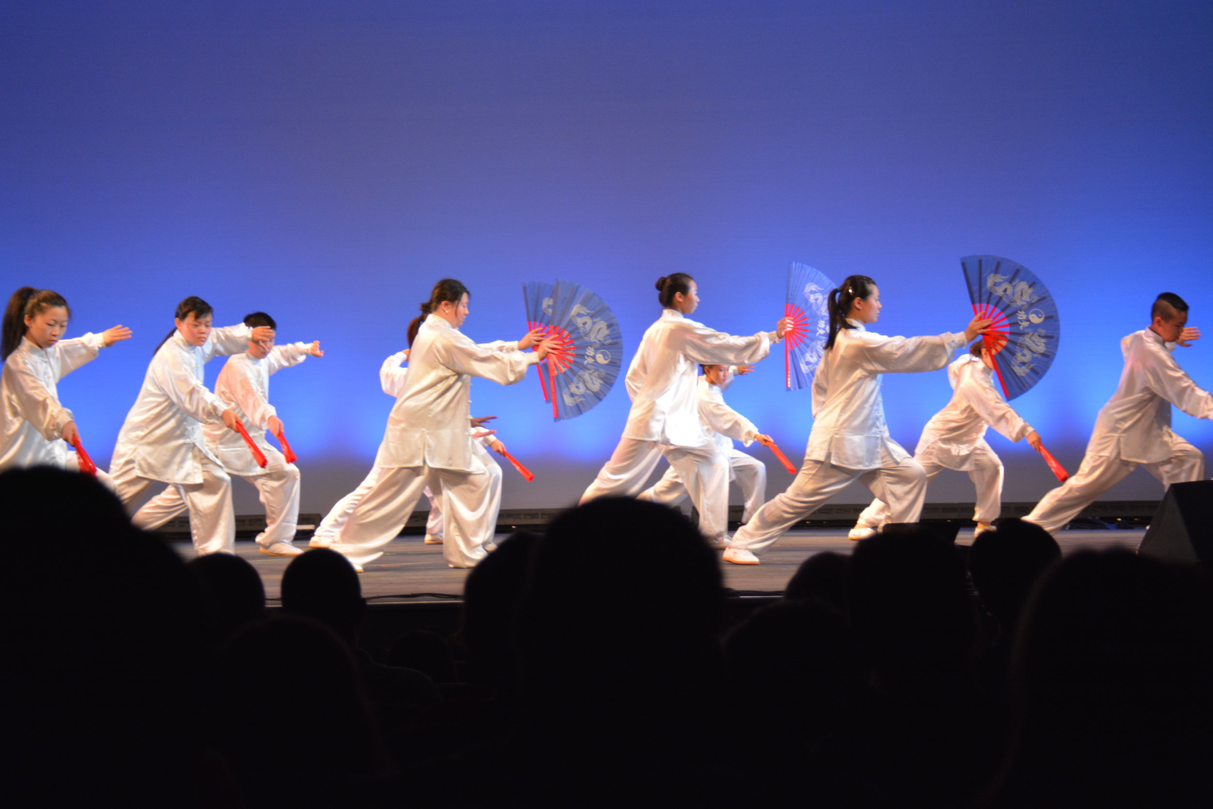 Tai Chi Kung Fu Fan group performance