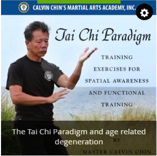 The Tai Chi Paradigm Tutorial 1