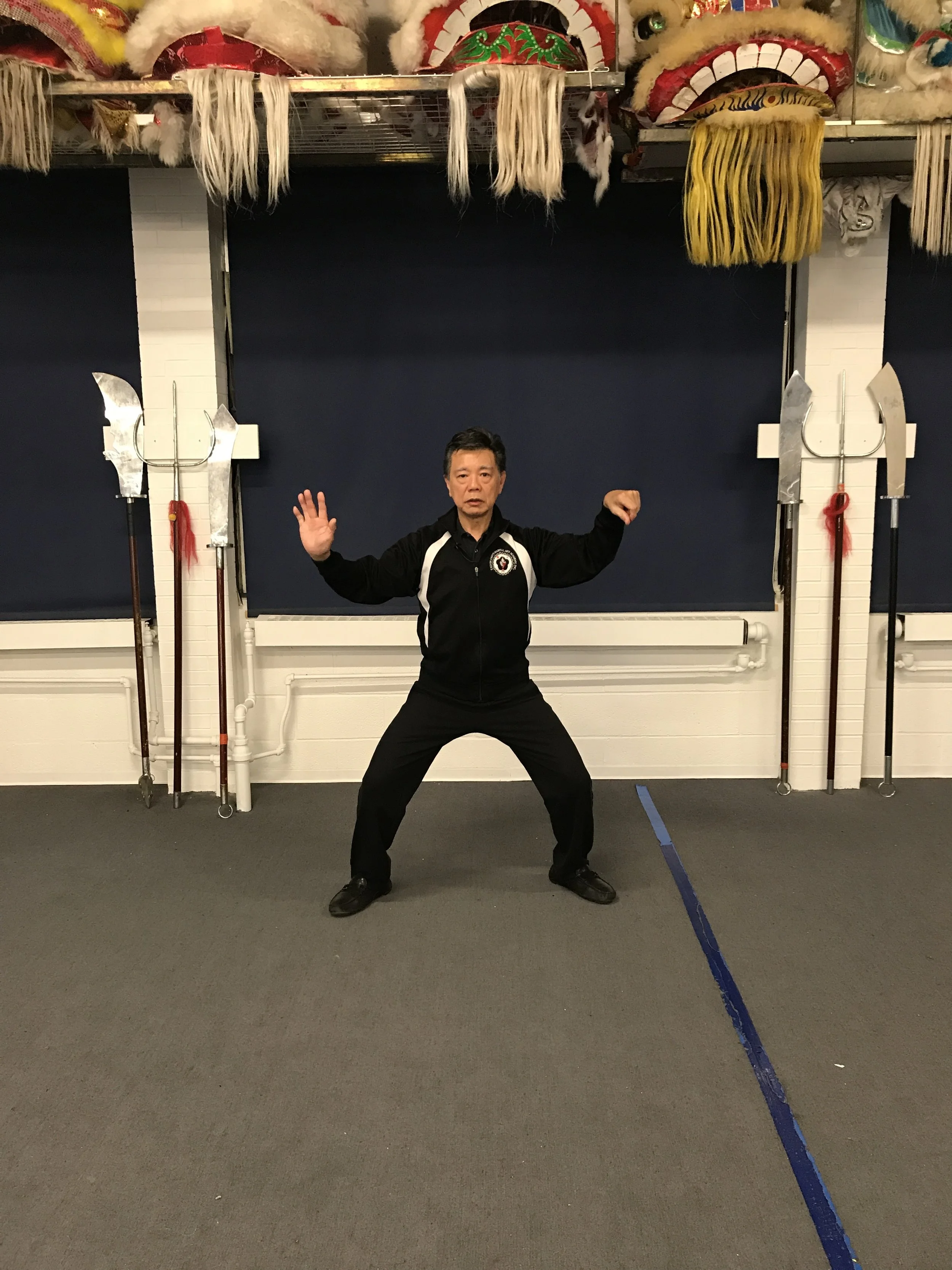 The Geometry of Torso movement in the Tai Chi Paradigm
