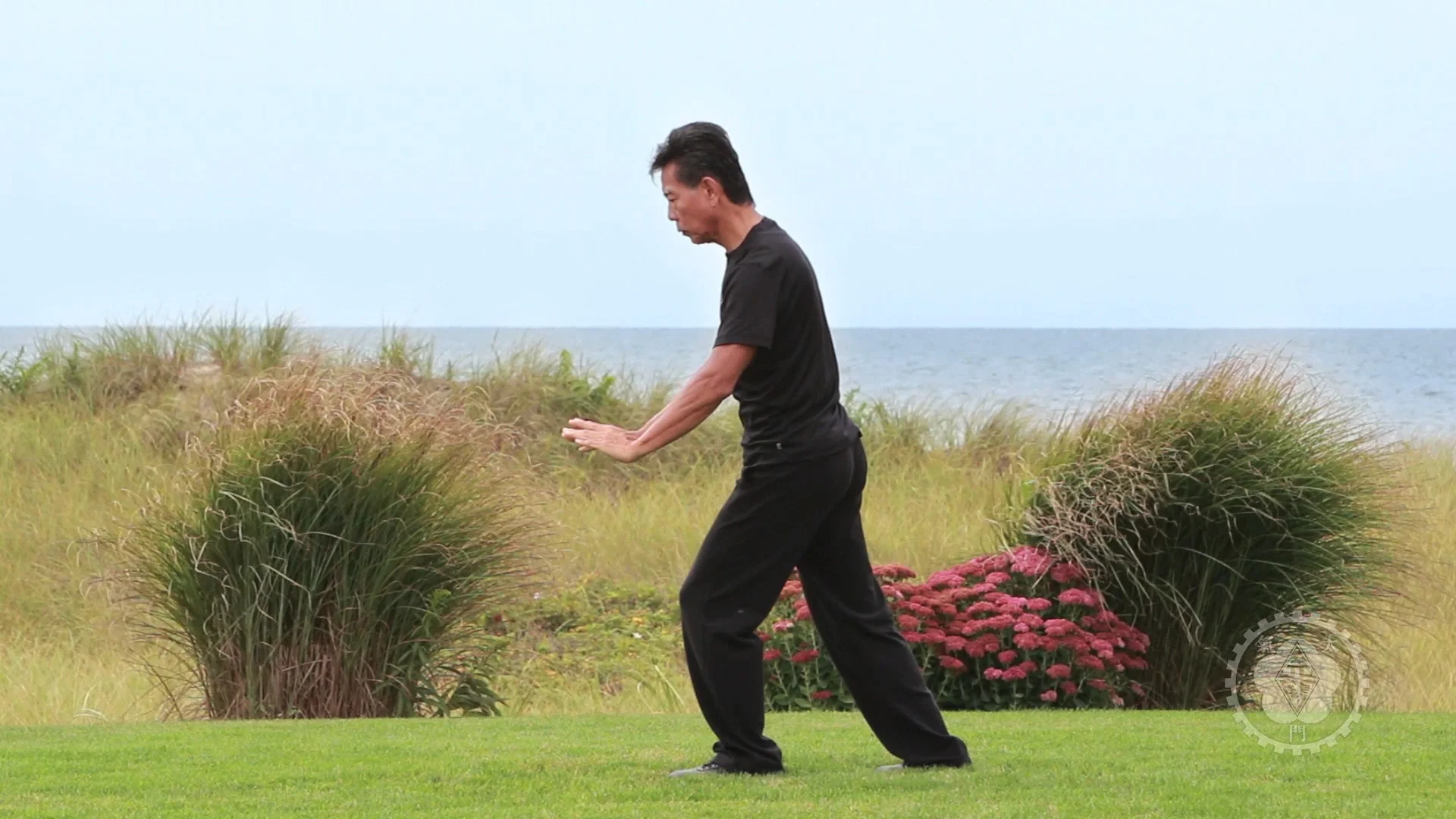 The Tai Chi Paradigm Tutorial #8