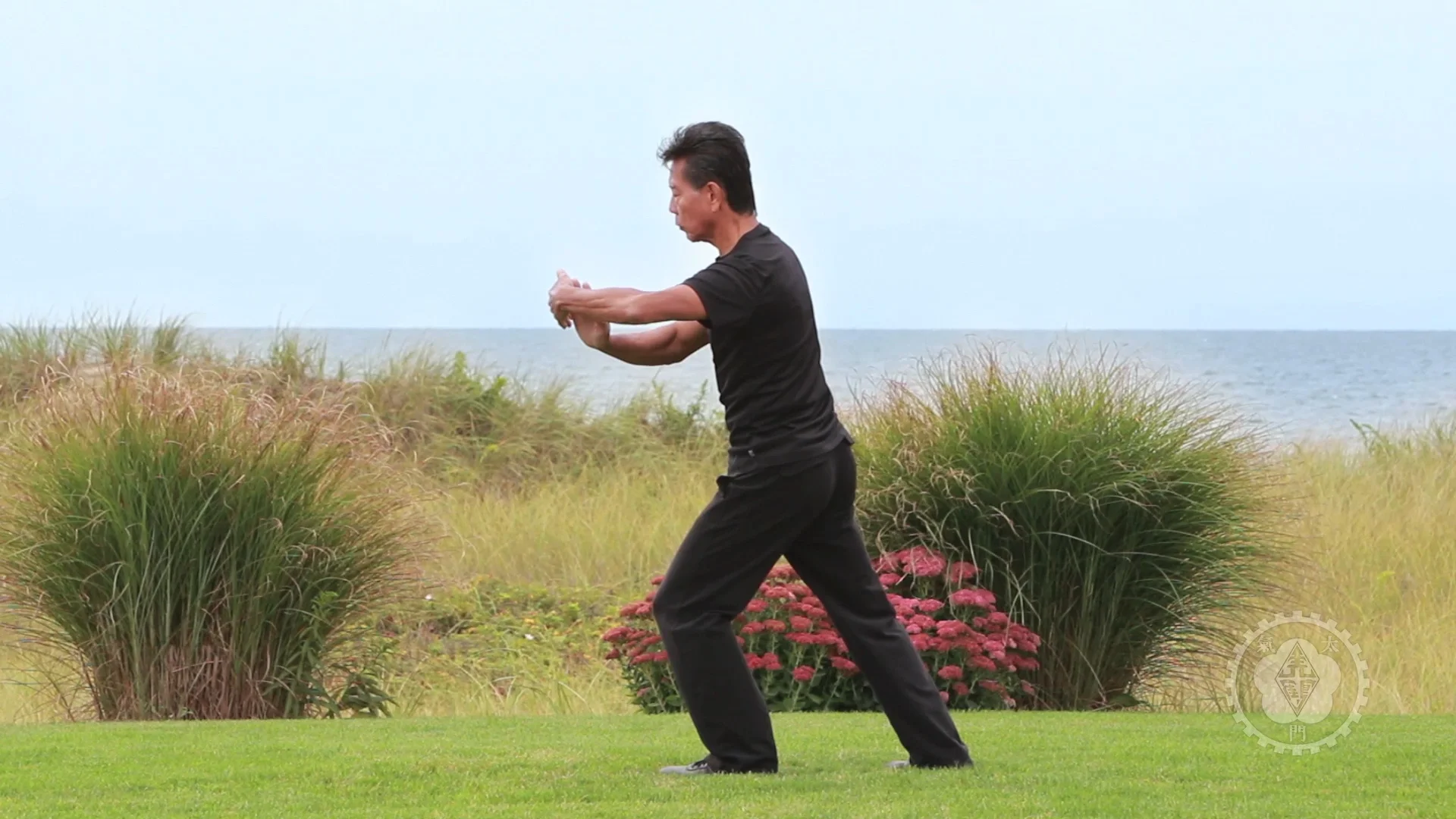 The Tai Chi Paradigm Tutorial #9