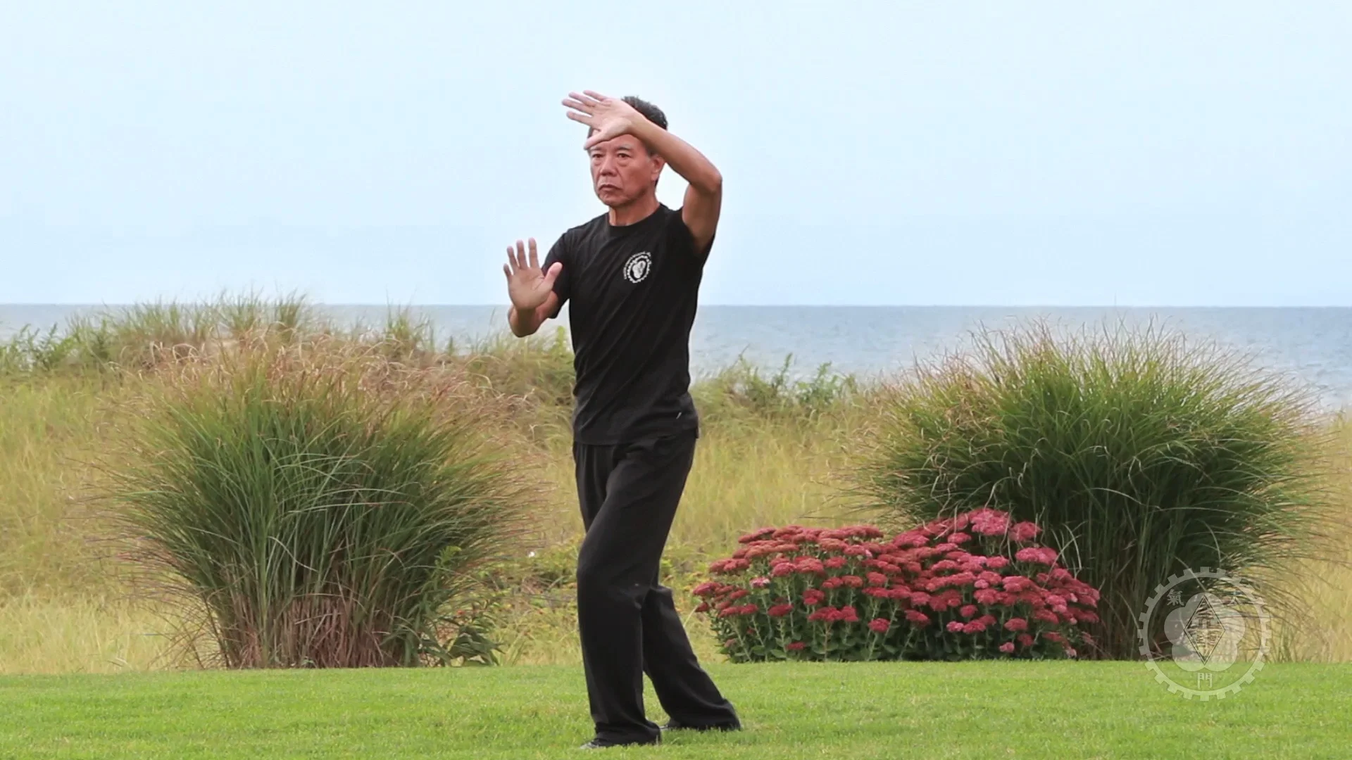 The Tai Chi Paradigm Tutorial #10