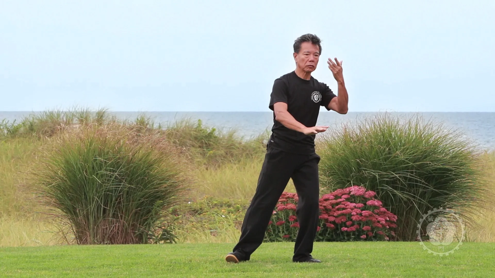 The Tai Chi Paradigm Tutorial #11
