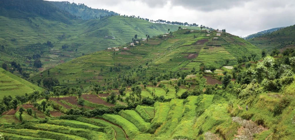 RwandaHills-1024x488.jpg