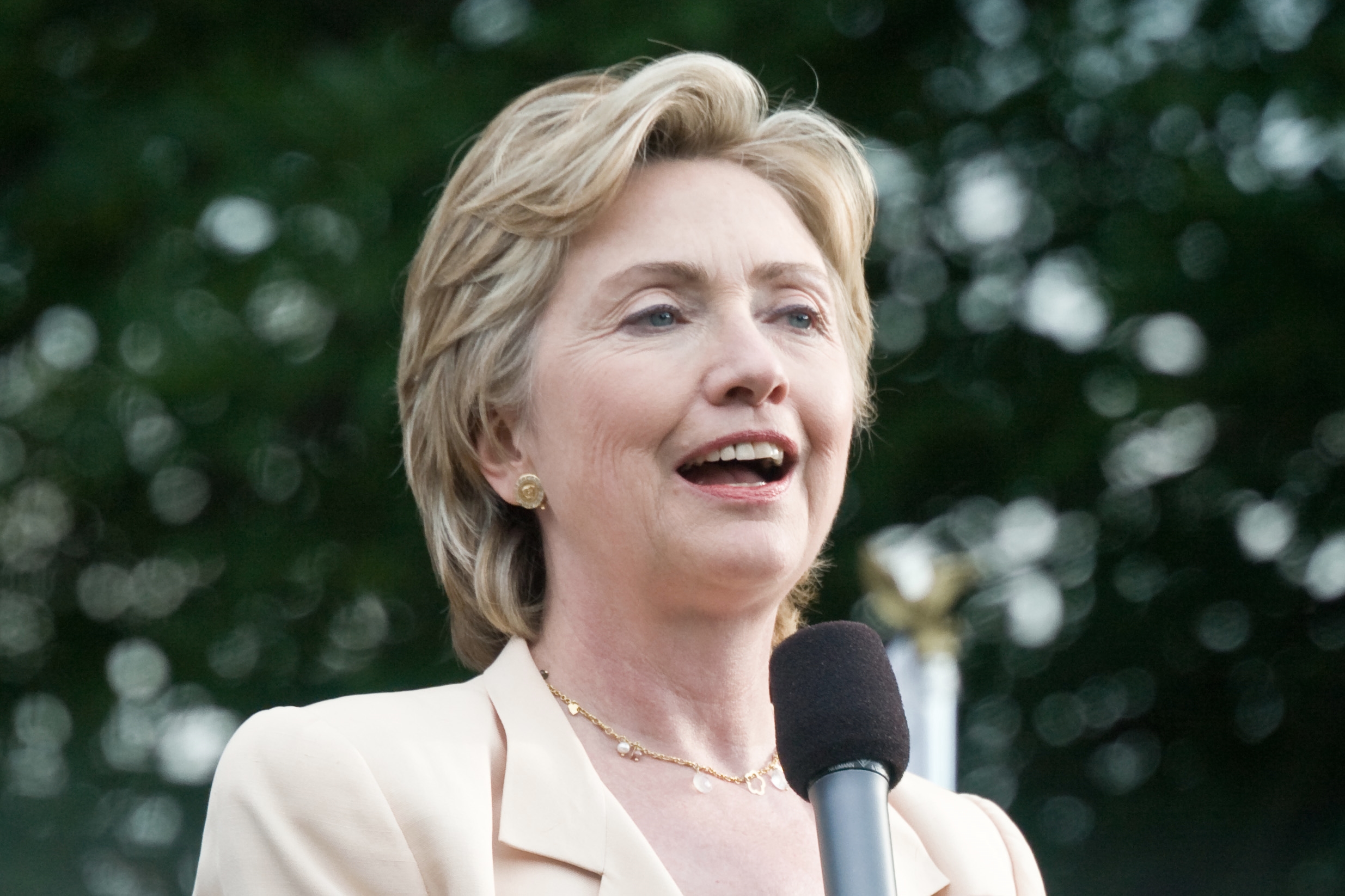 Hillary image.jpeg
