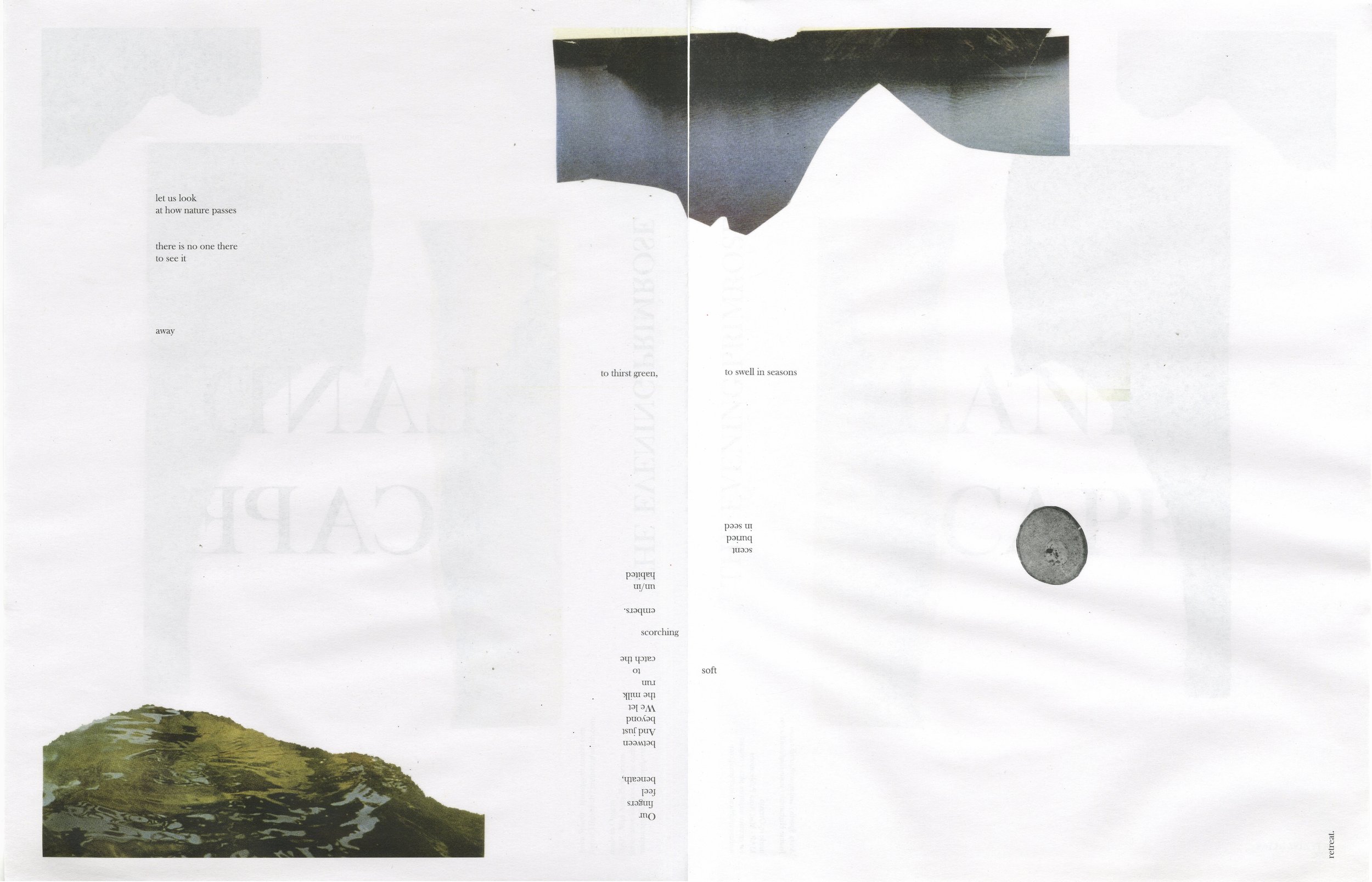 Landscape - The Evening Primrose, Fall/Winter 2021, Volume One, MAP (Mad Aura Press) 