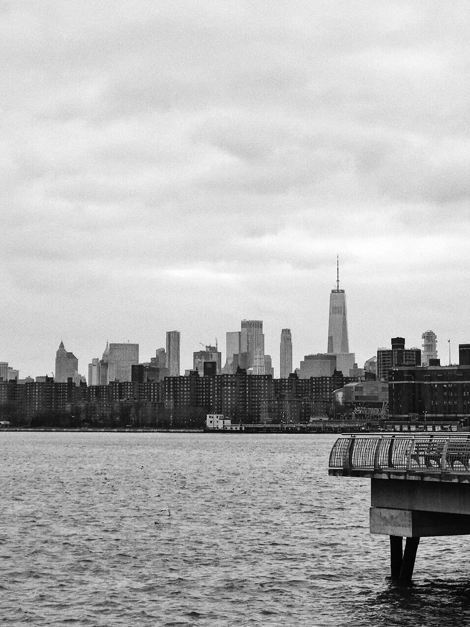 NY_2018_459.jpg