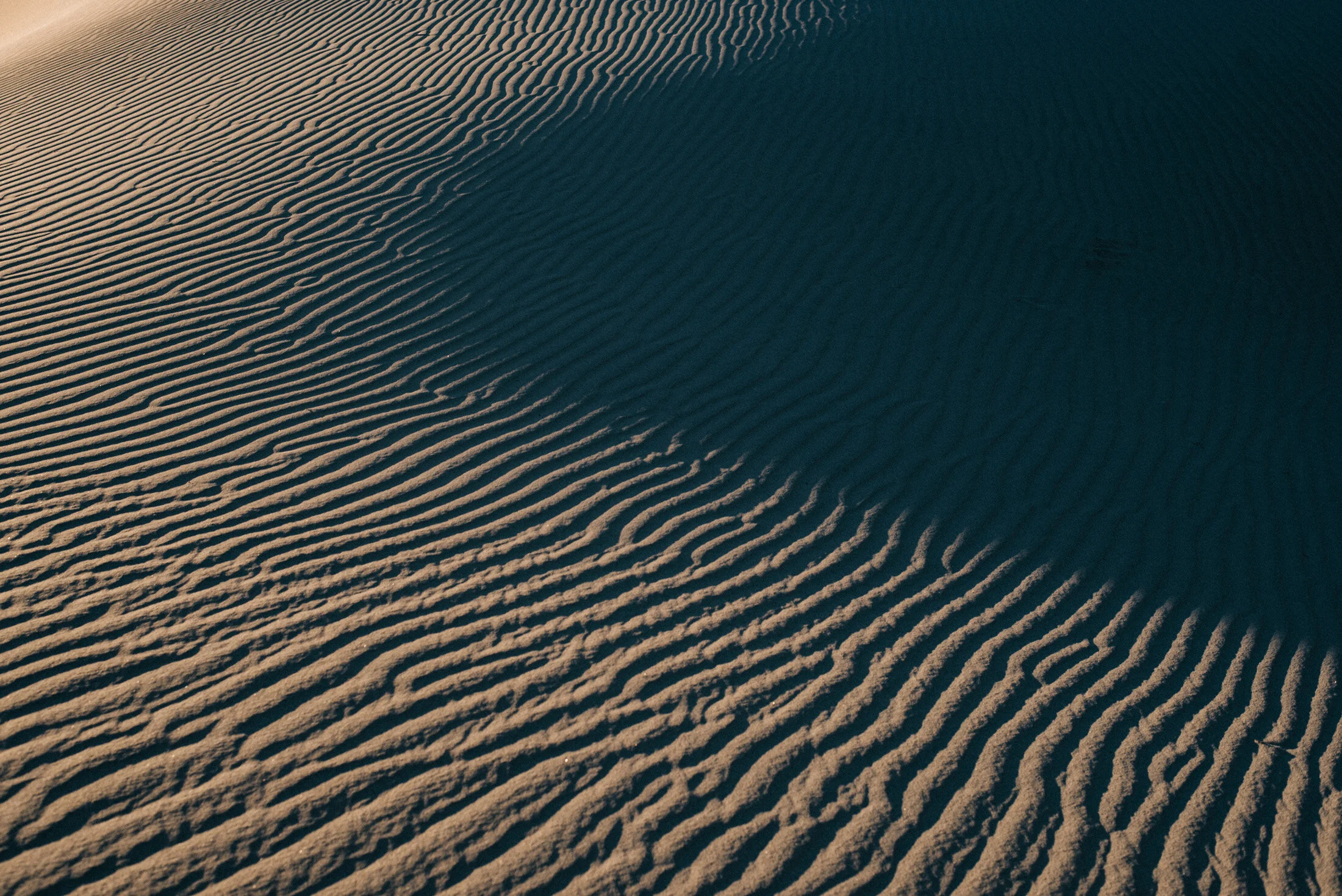 DUDEVALLEY0276.jpg