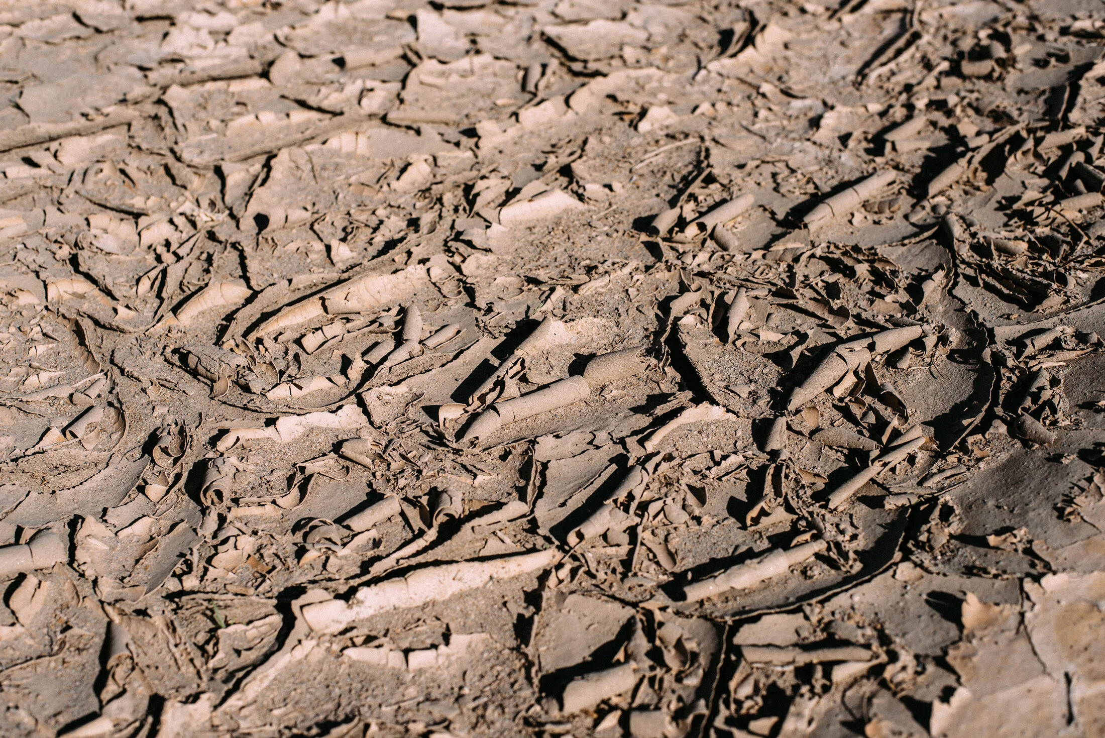 DUDEVALLEY0308.jpg