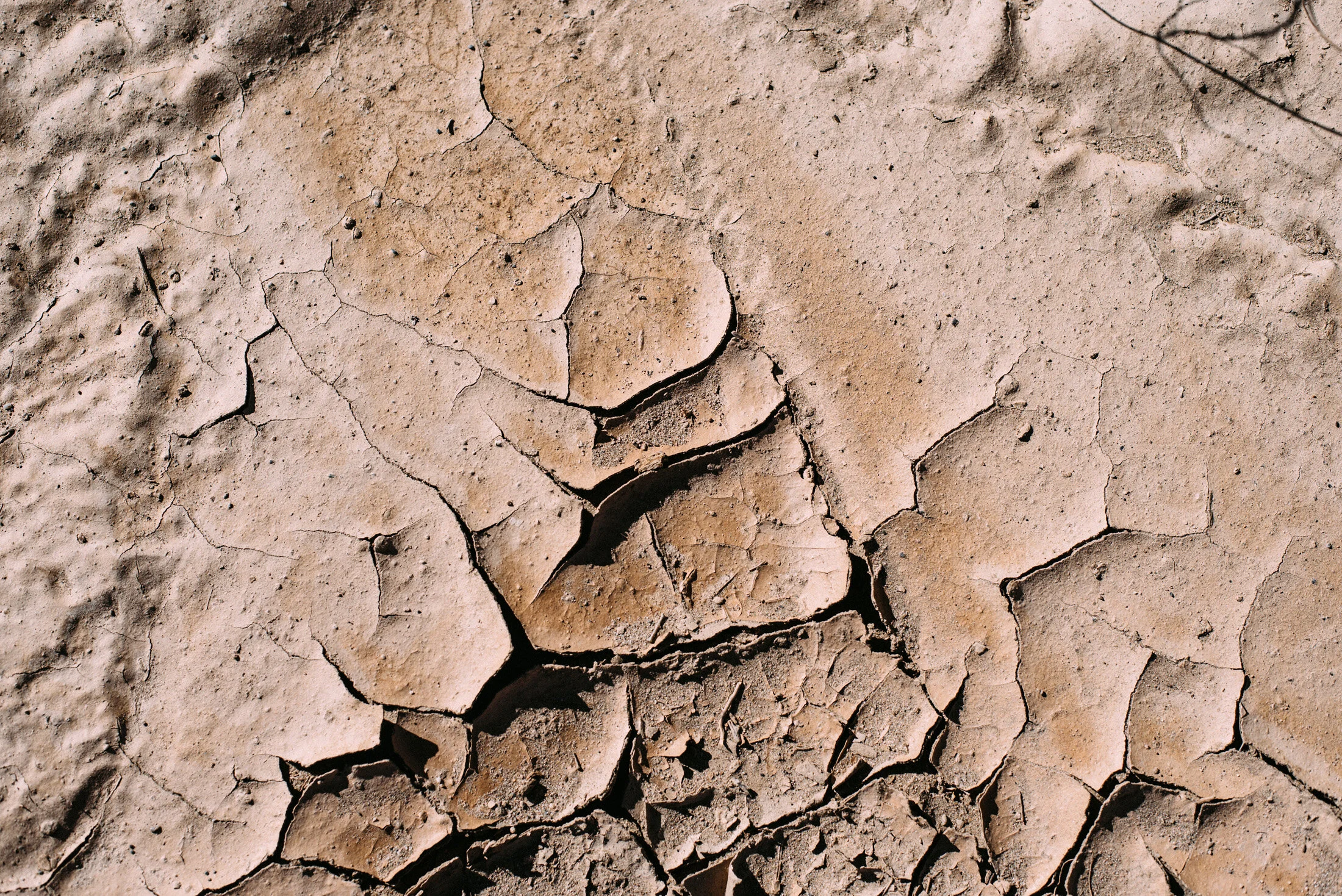 DUDEVALLEY0309.jpg