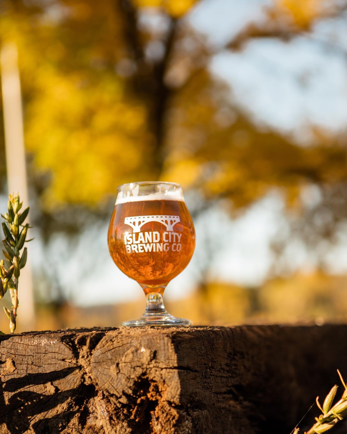 Pilot Batch #32 has been tapped! Sip on a pint of this Wet Hopped New England IPA while enjoying the cool fall breeze and beautiful colors. This brew includes freshly picked hops from Winona&rsquo;s own, Prairie Island.