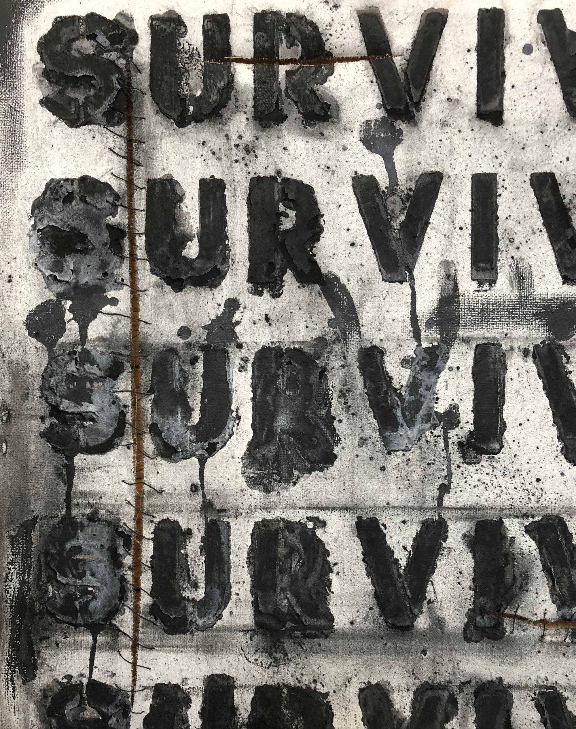 Survive Series Detail Photo