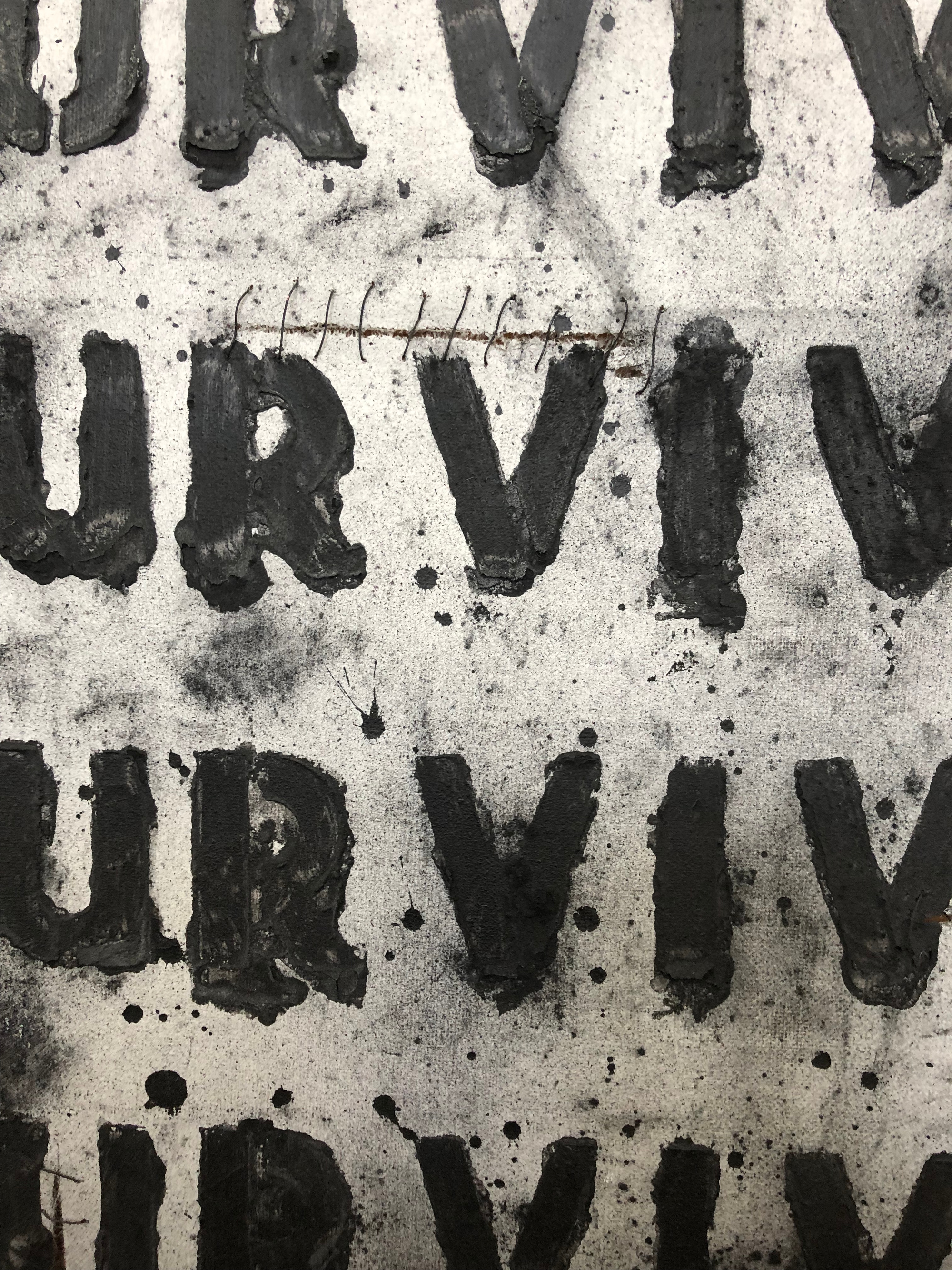 Survive Series Detail Photo