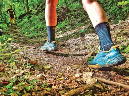 Farm to Feet socks are comfortable and durable