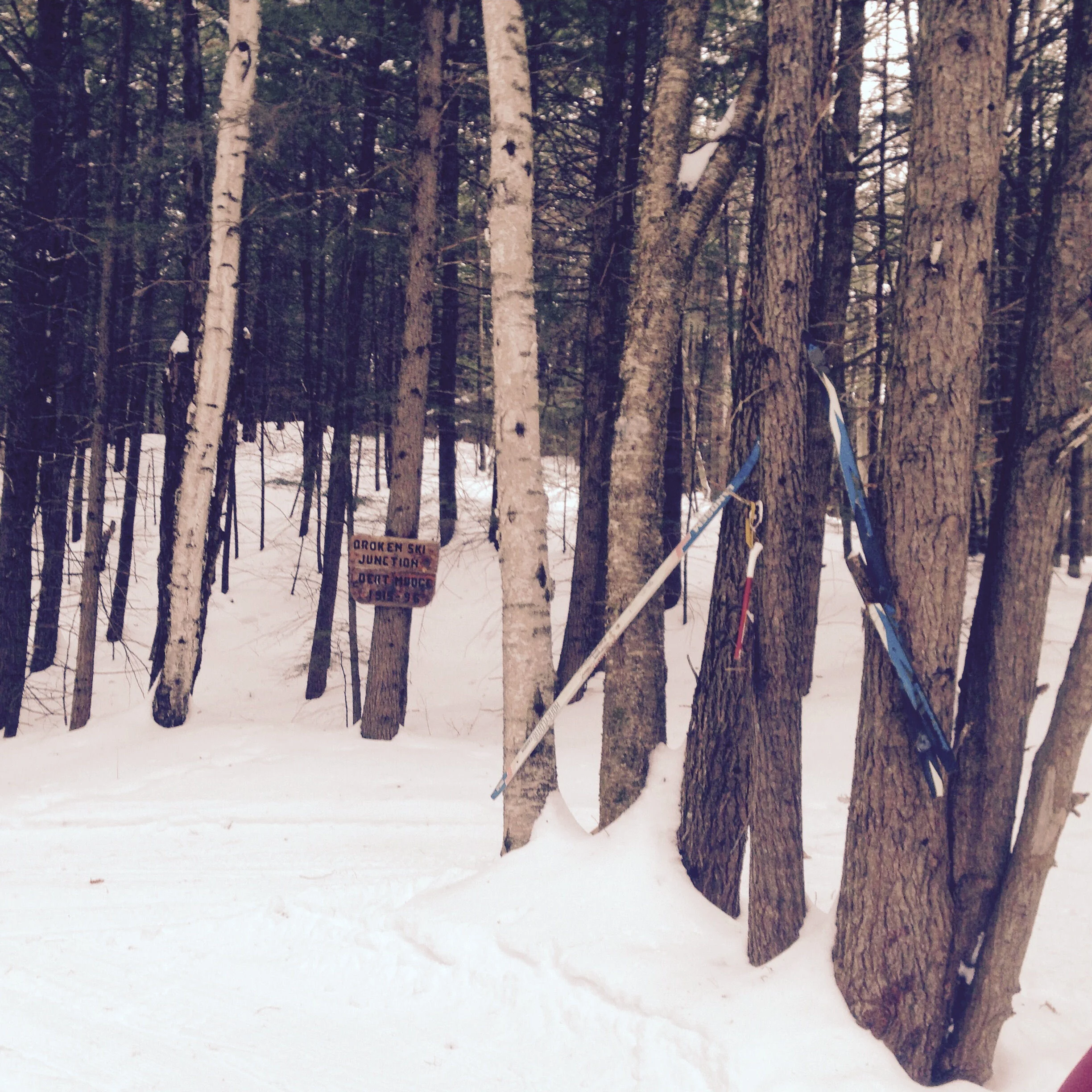 Gift Ideas for a Cross Country Skier — Cross Country Skiing