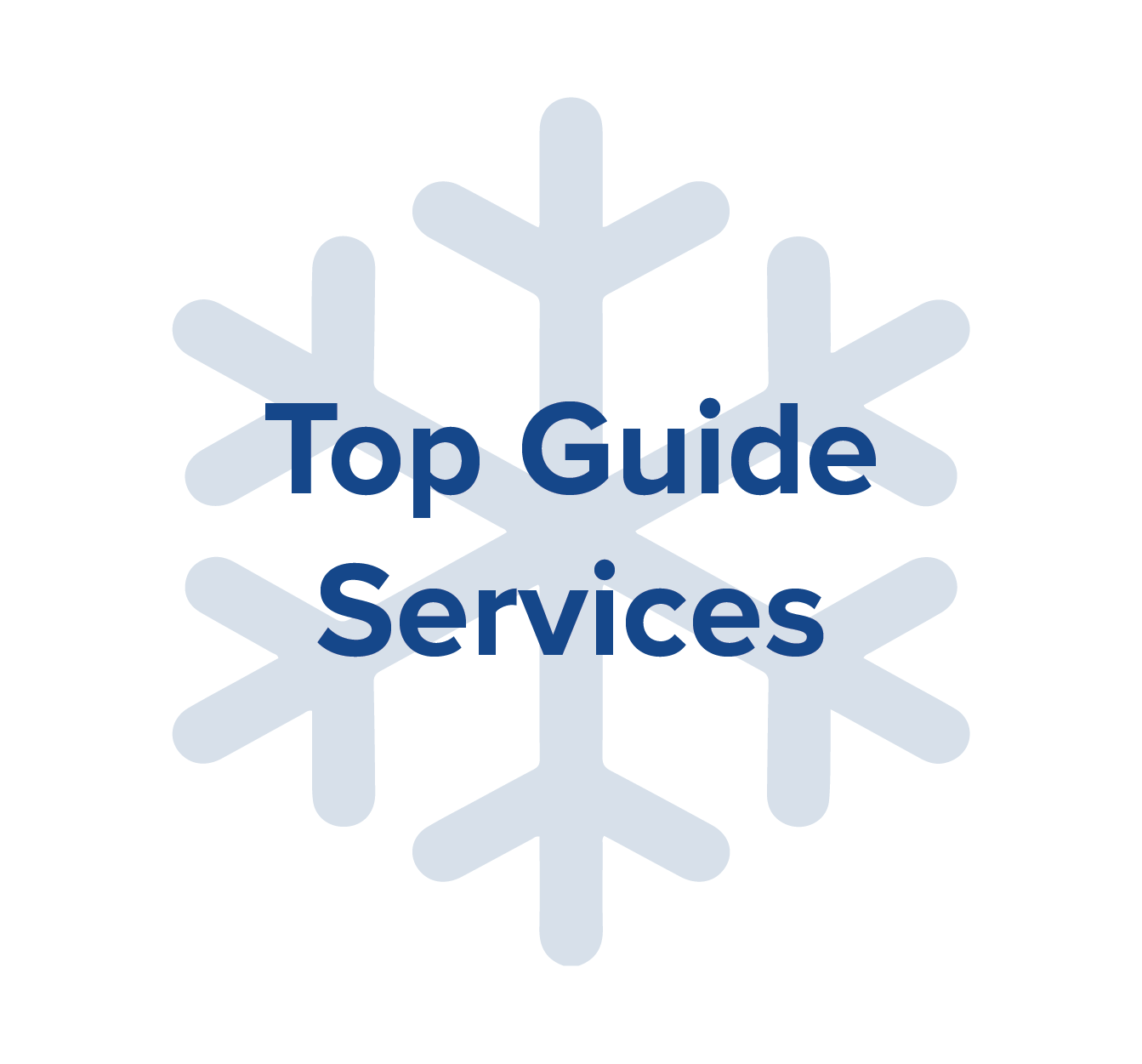 top guide services.png