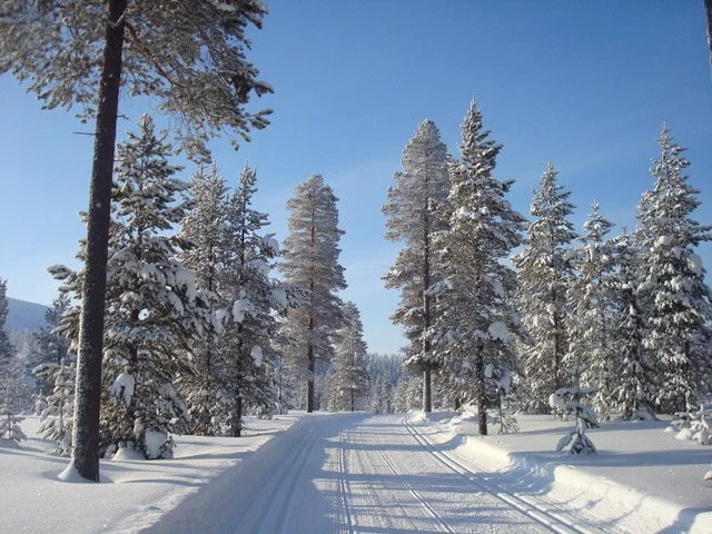 Pauline Styles Promotes European XC Skiing