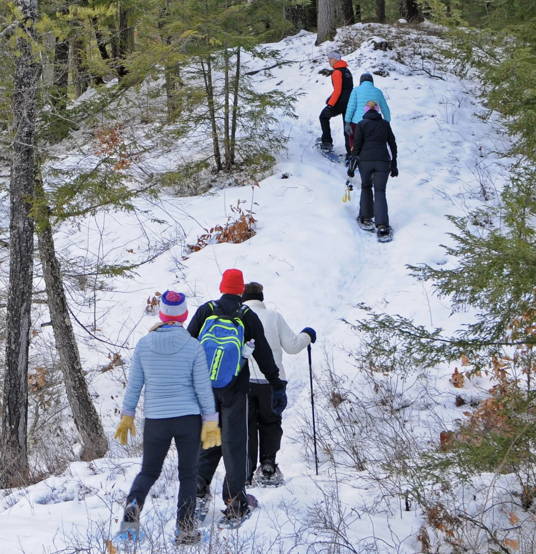 Guided Snowshoe Tour with a Naturalist for Family Recreation — Cross Country Skiing